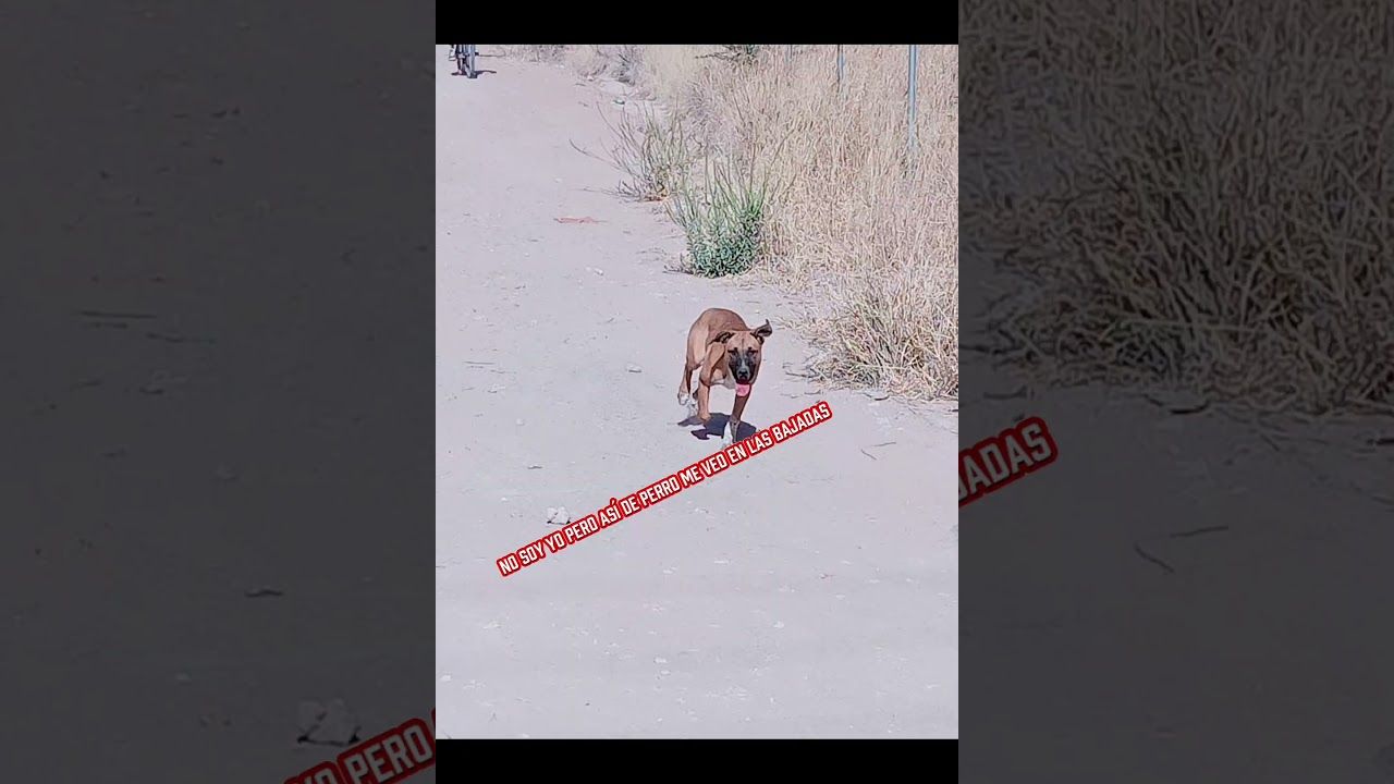 Aniversario Tortuags 2025 MTB #mtb #aguascalientes #ciclismo