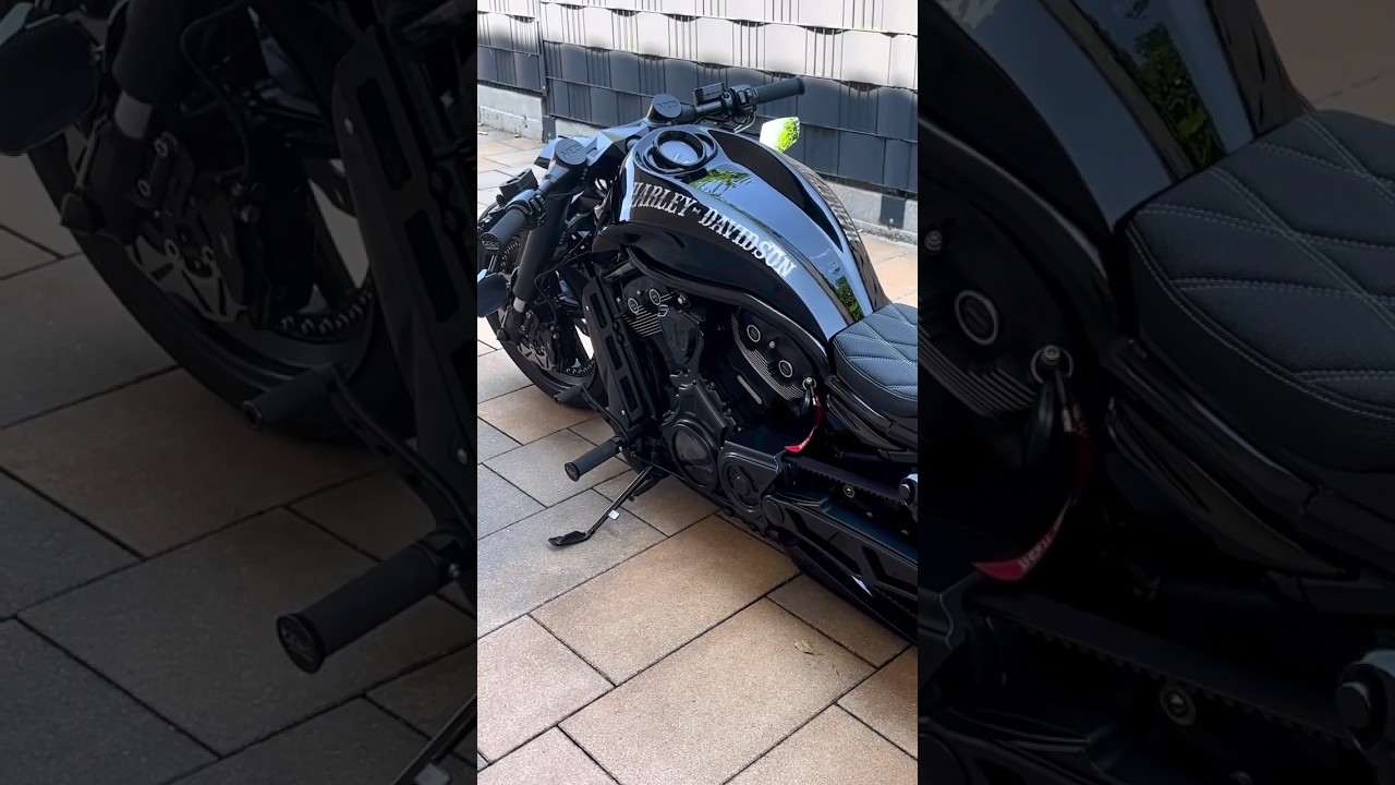 Most Badass Harley Davidson Night Rod 🔥🤩🔥 #harleydavidson #harley #shortsfeed #shorts#harleysound