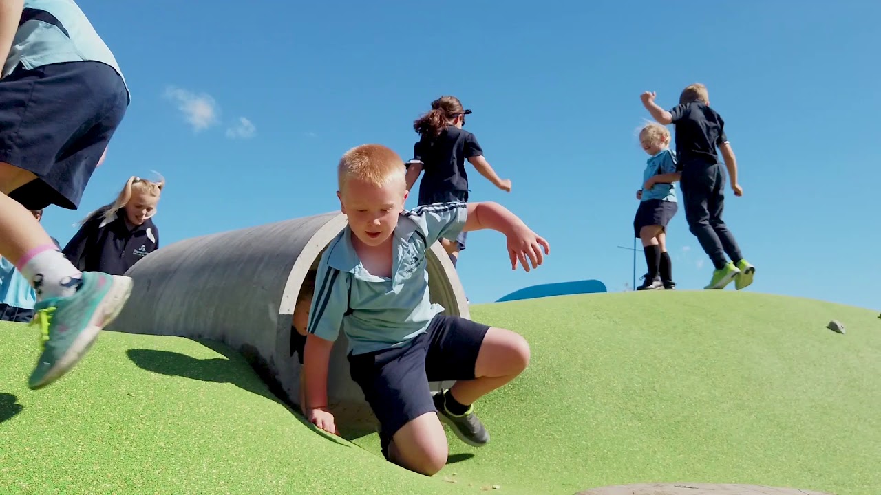 Creo Projects | Pegasus Bay Primary School