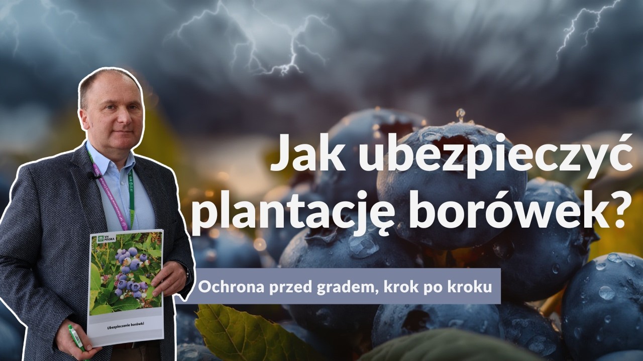 Ubezpieczenie plantacji od gradu – krok po kroku