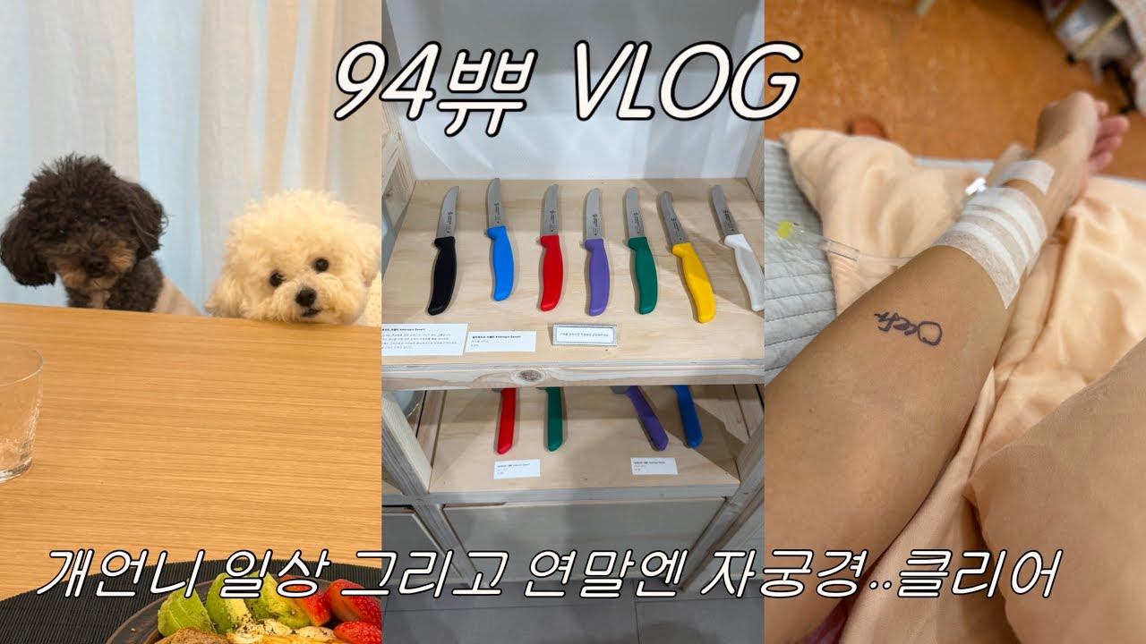 VLOG | 푸들과 비숑 5박하기, 자궁경 리류, 시험관 동결 준비, 신혼부부 일상, 평택 시험관, 94년생 신혼부부, 후암동 데이트
