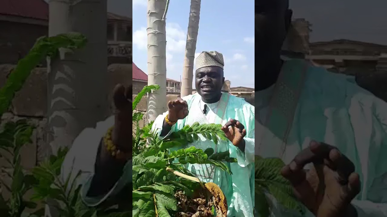 OGUN OJU TODAJU