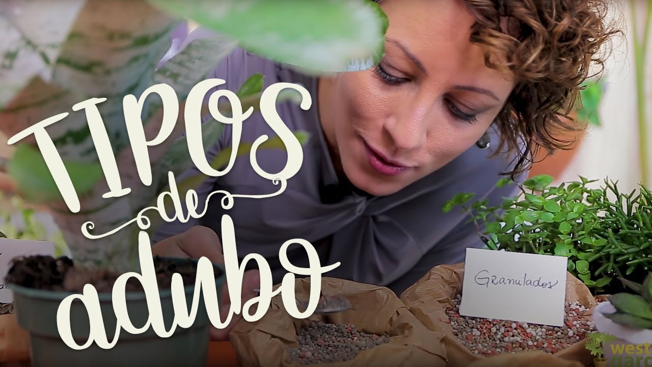 Adubar pra qu&ecirc;? Um guia r&aacute;pido dos tipos de adubos na jardinagem