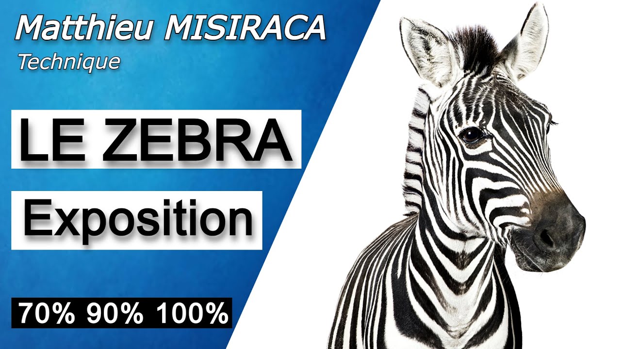 A QUOI ÇA SERT ? LE ZEBRA 70% en vidéo (Exposition)