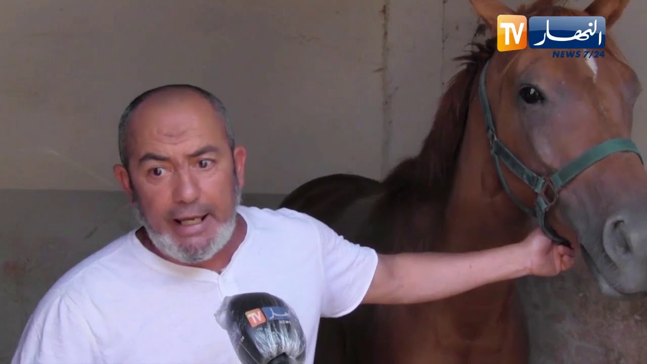 وهران: أوضاع كارثية يعيشها مركب الفروسية وتربية الخيول بالسانية