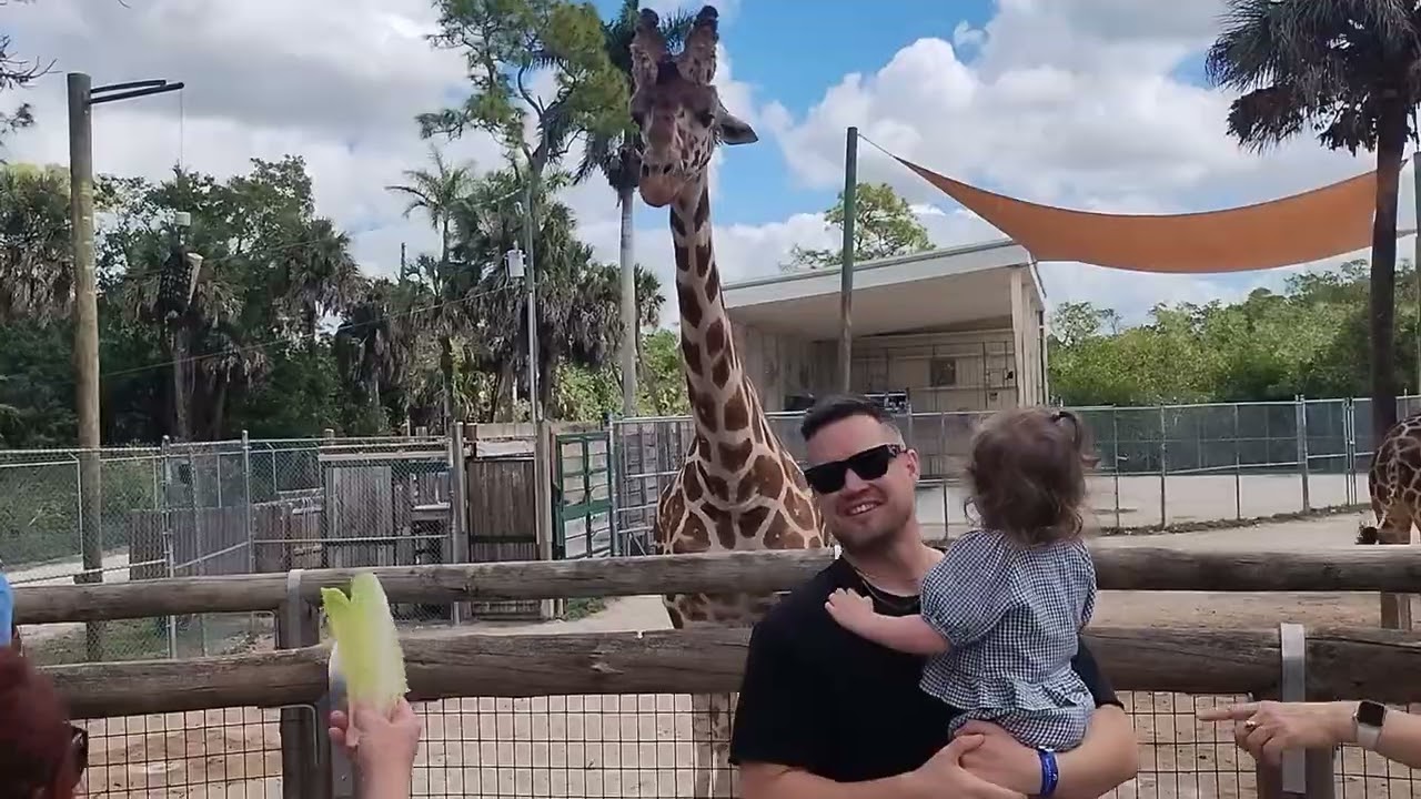 Giraffe Time 