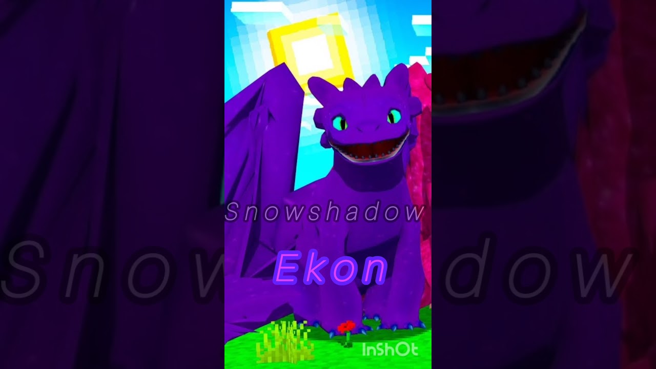 3rd tiny turtle's dragon 
