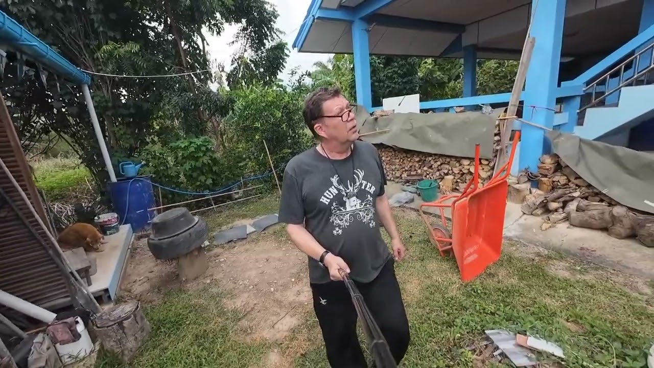 Netti poikki ja miksi Farang lähti Suomesta.