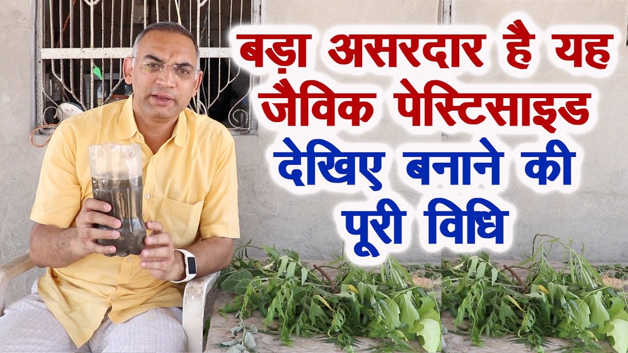 ऐसे बनाएं असरदार जैविक पेस्टिसाइड, फसलों में केमिकल पेस्टीसाइड की जरूरत नहीं पड़ेगी! Natural Farming