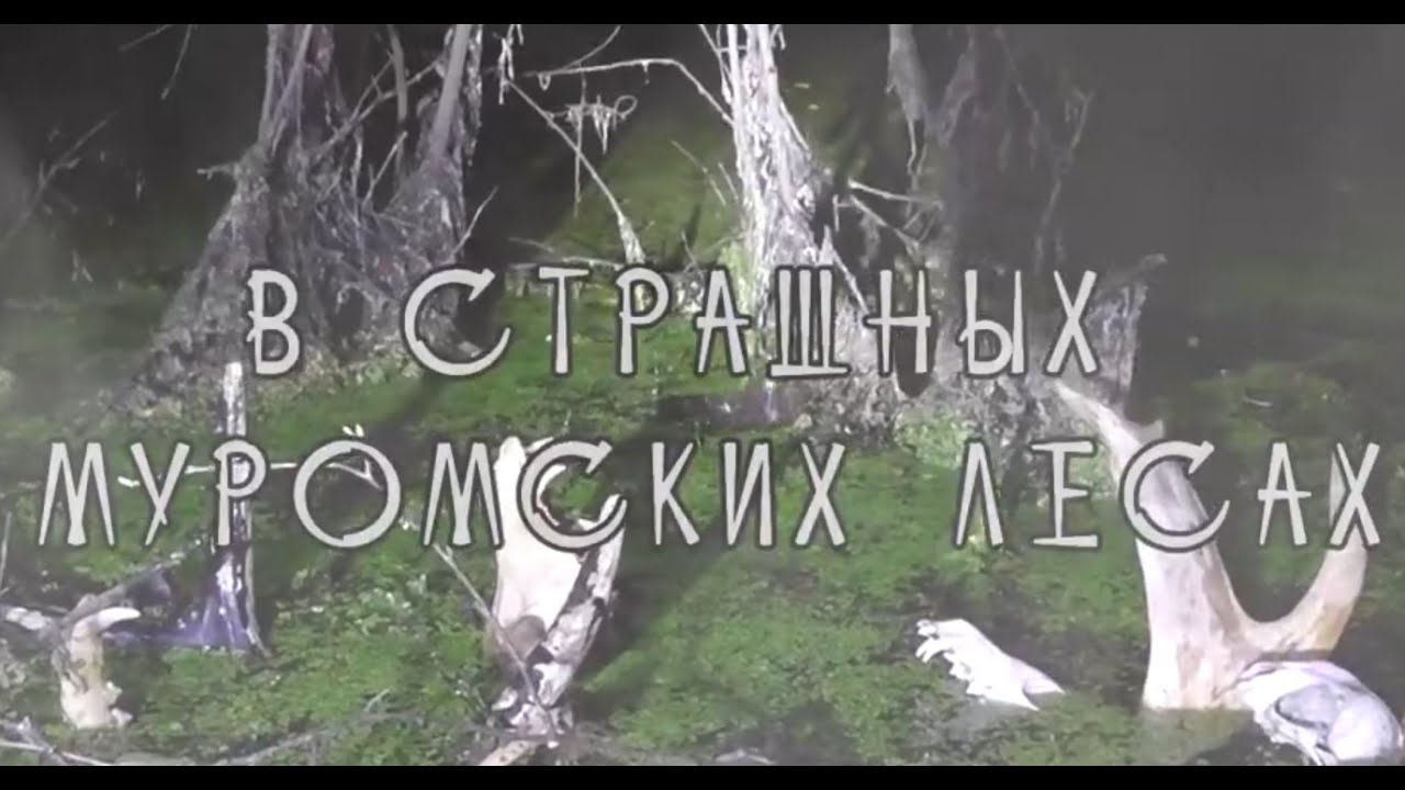 За гранью реальности Страшные Муромские леса