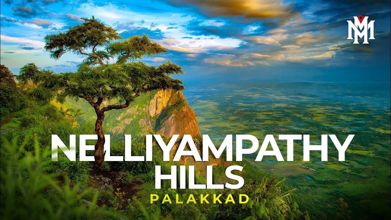 Nelliyampathy Hills, Palakkad | Seetharkundu Viewpoint | Pothundi Dam | English Travel Videos | Vlog