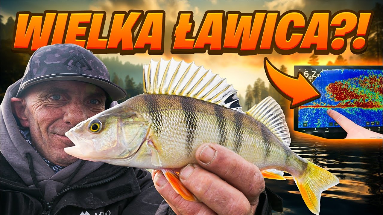 Okonie, Sandacze i Szczupaki na Czorcie! (Kabat chwyta za wędkę...)