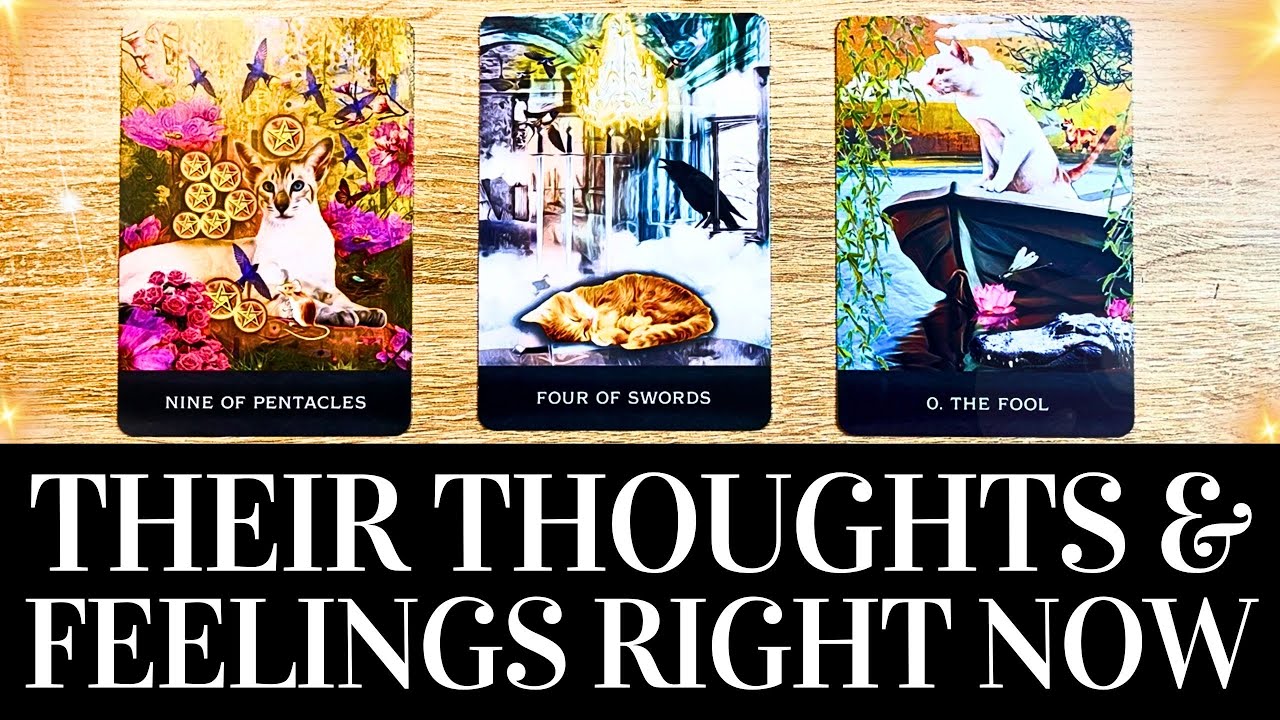 🌟💖 THEIR  TRUE THOUGHTS & FEELINGS About YOU Right NOW! 🌟💖 PICK A CARD Timeless Love Tarot Reading