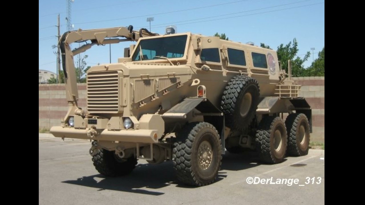 Transformers & Madagascar Movie 1 Cast