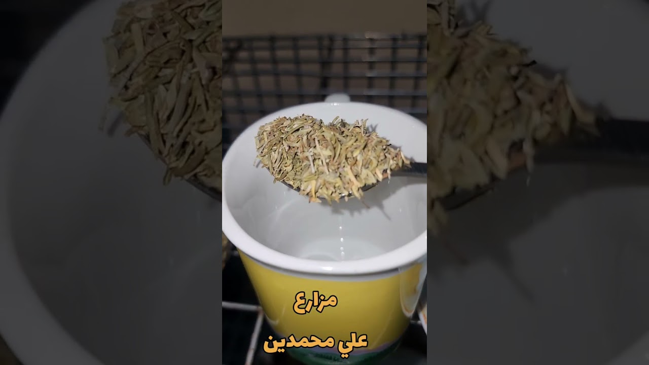 طريقة تحضير اي عشبة في تربية الارانب والطيور سلسلة التربية المنزلية حلقة 4الجزء الثاني 