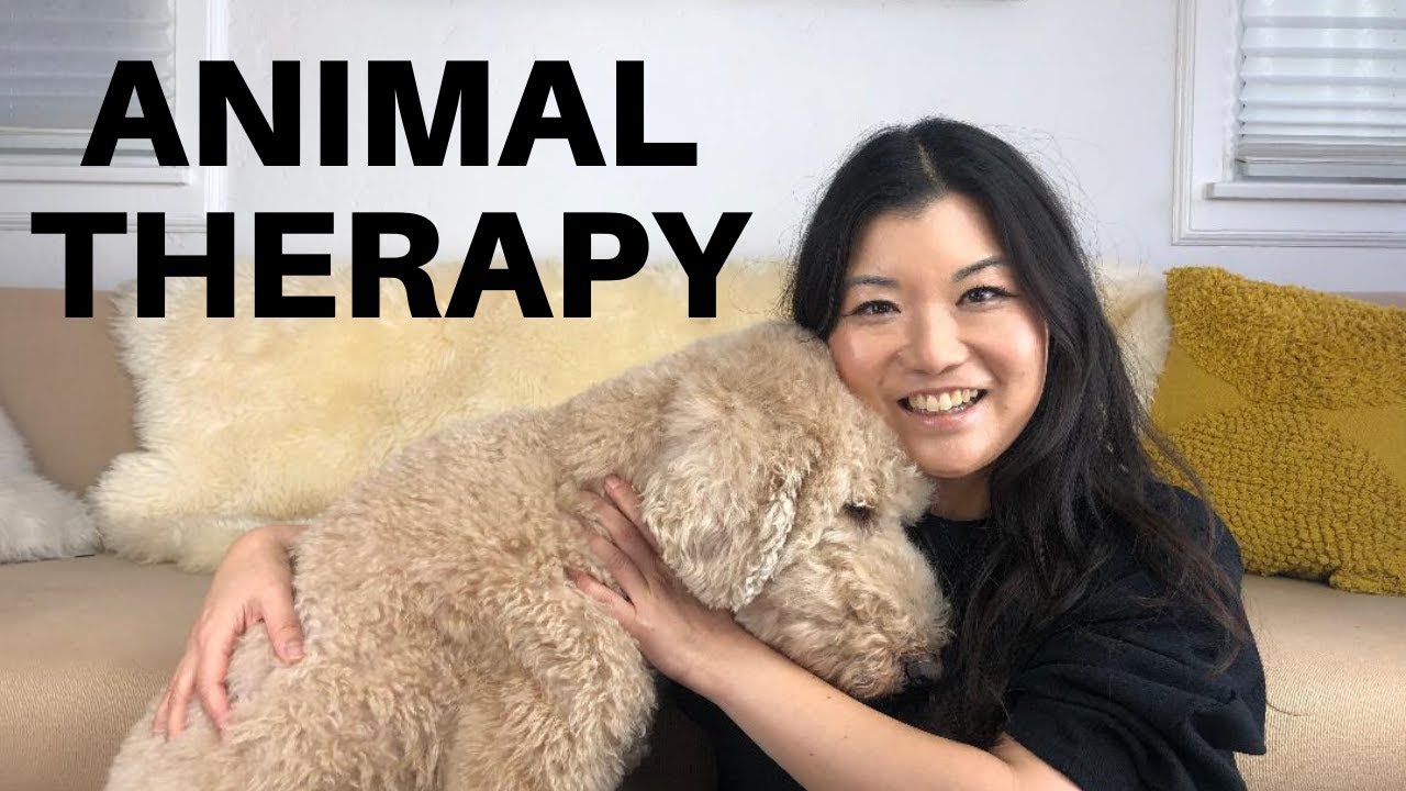 Animal Therapy: the EASIEST way to heal
