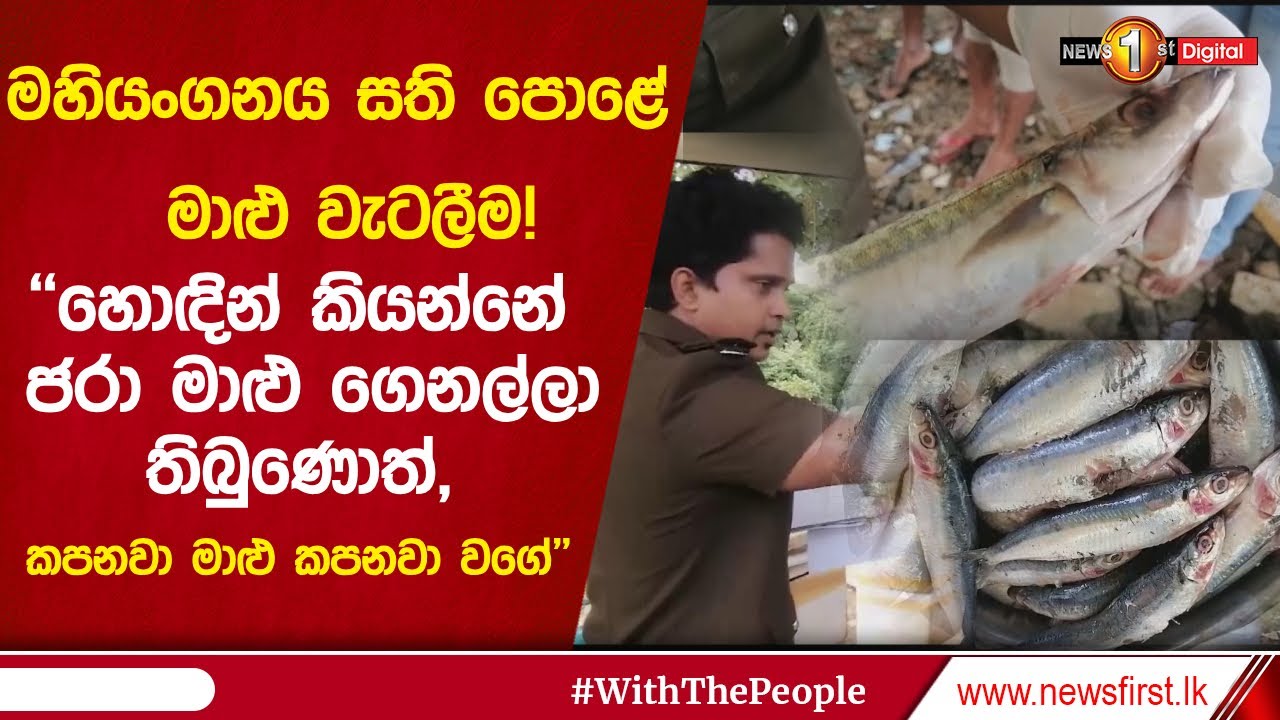 🔺මහියංගනය සති පොළේ මාළු වැටලීම!