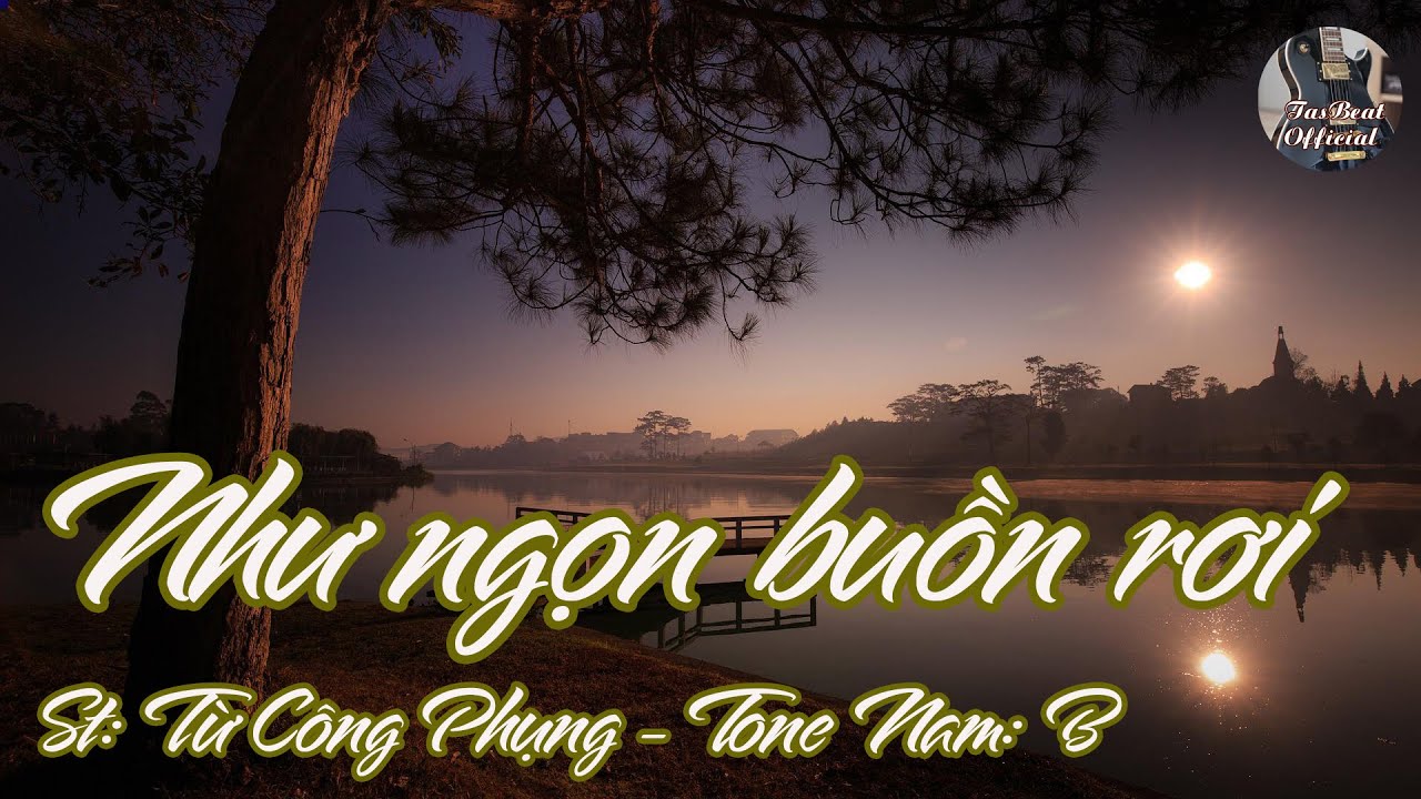 Karaoke Như Ngọn Buồn Rơi Tone Nam | TAS BEAT
