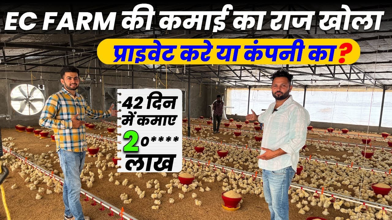 Ec Poultry Farm करोड़ो Kamai,Semi Automatic Broiler Murgi Farm,Company Vs Private⁉️