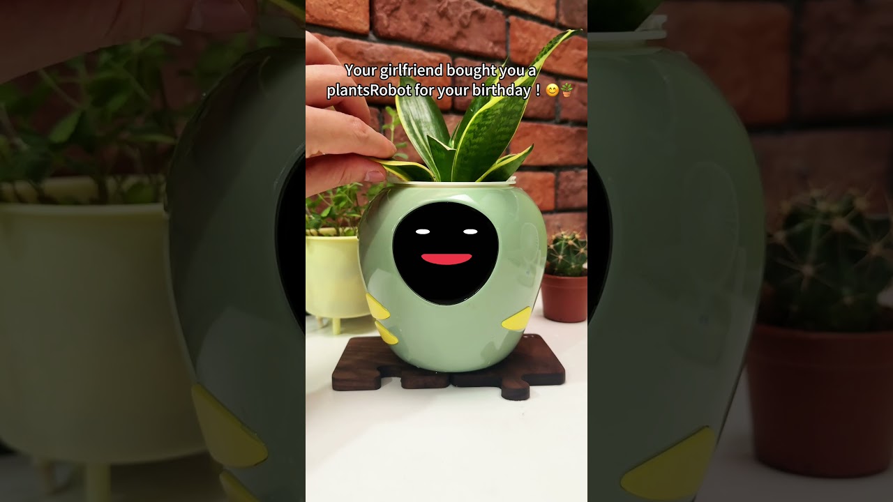 #plantsrobot #love #shorts #plants #gift