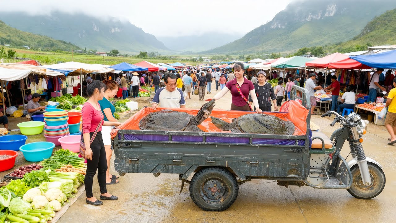 Harvesting Giant Turtle & Catfish, Use Truck Transport Turtle Goes To Countryside Market Sell