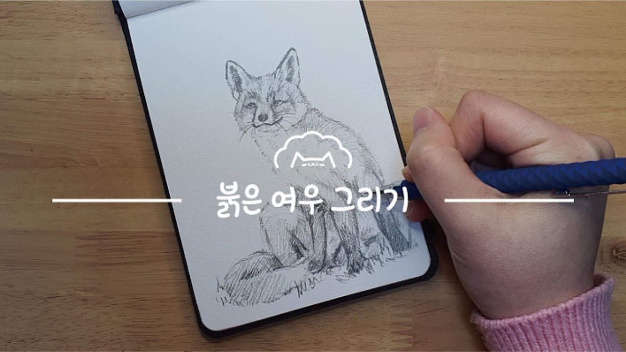 지우개 없이 붉은여우 그리기 (Pencil drawing)