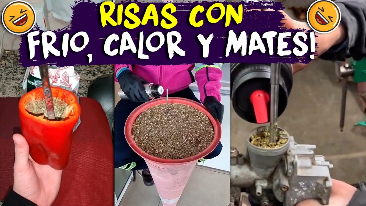 RISAS CON FRIO, CALOR Y MATES😂