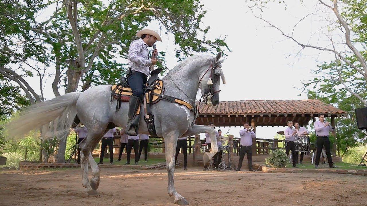 El Verde ( con Banda) - Jesús Uriarte