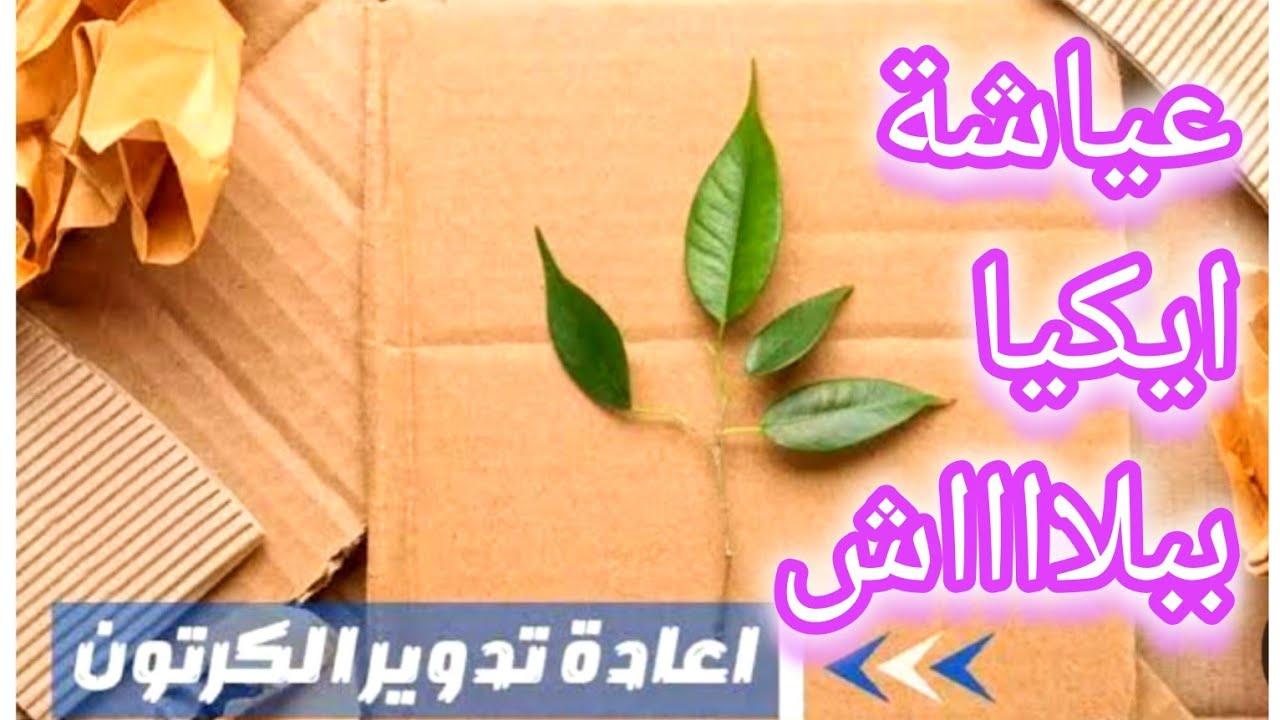 افكار💡اعادة تدوير الأشياء القديمه لو عندك كرتون تعالى بسرعة نعمل العياشة الترند بتاعة ايكيا #ترند