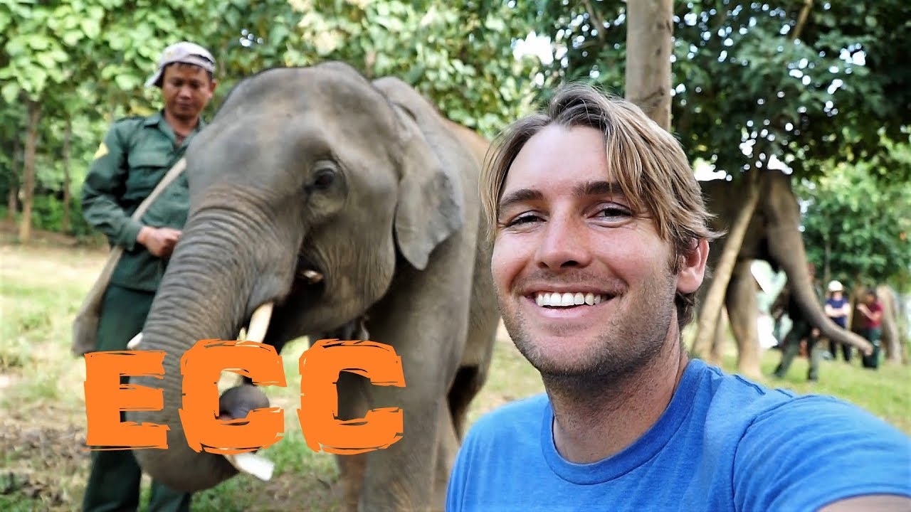 Elephant Conservation Center Sayaboury, Laos