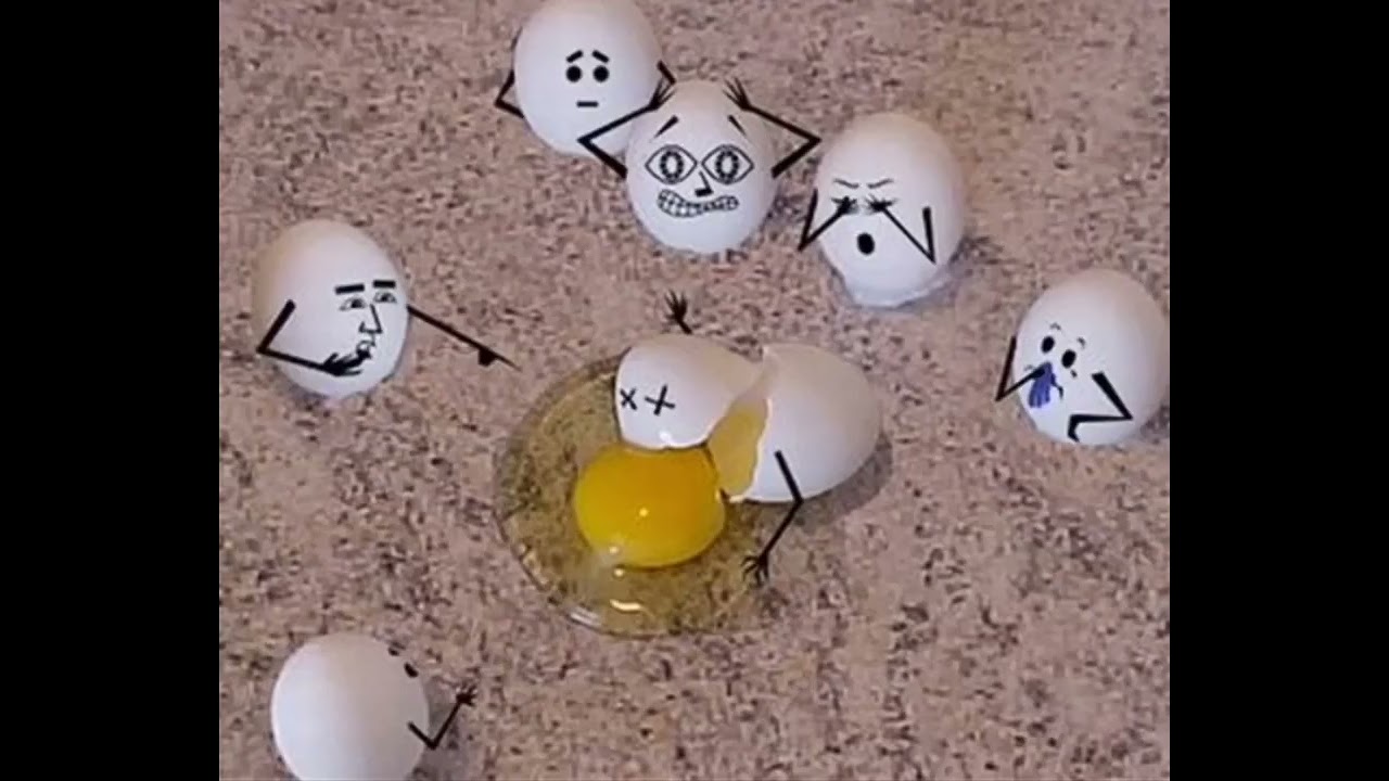 6 little eggs on the run