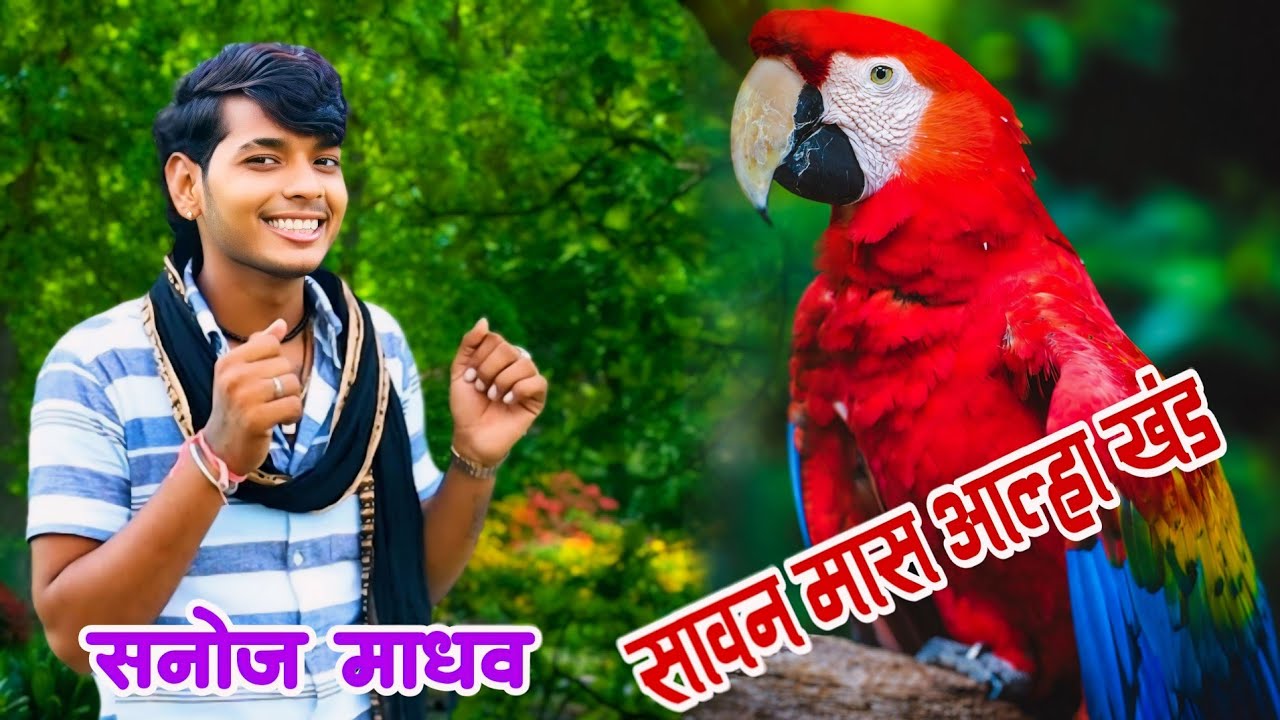 सावन मास का प्रसिद्ध आल्हा गीत। सनोज माधव।Alha song.Sanoj madhav.