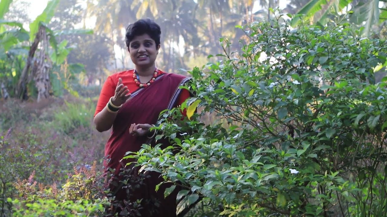 व्याही आल्यात ना // Vyahi alyat na