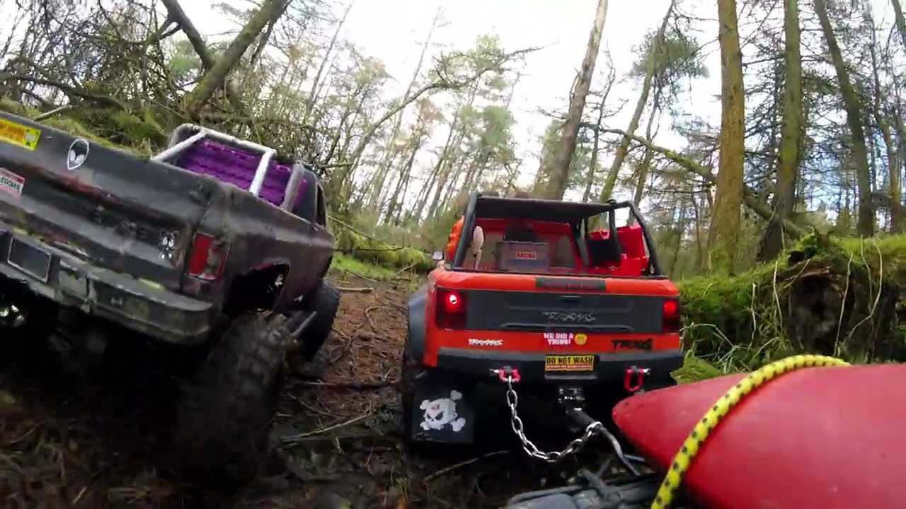 Traxxas trx4 sport and axial scx10 (OG)