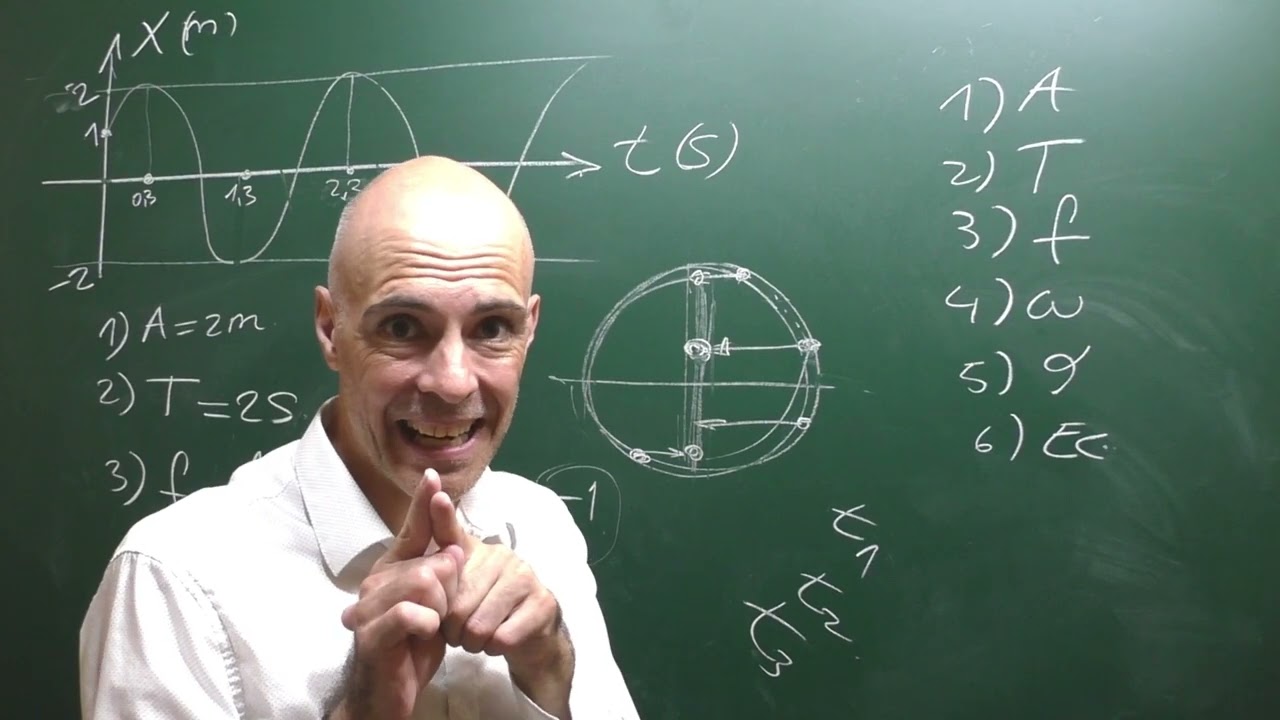 Movimiento armónico simple. MAS. Ejercicio resuelto.