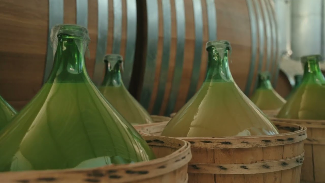 Enoturismo y gastronom&iacute;a en la provincia de Val&egrave;ncia