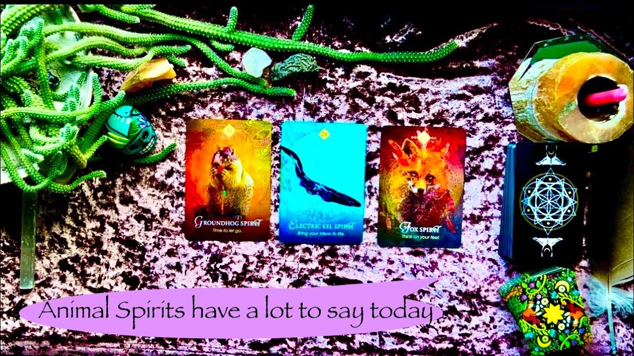 🔮PICK A CARD READING🦊⚡️🦗🪽🪶🕷️