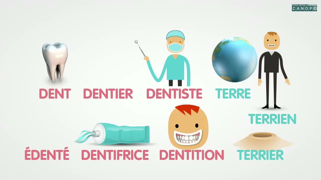 Les mots de la même famille - Les familles de mots (ép. 1/5)