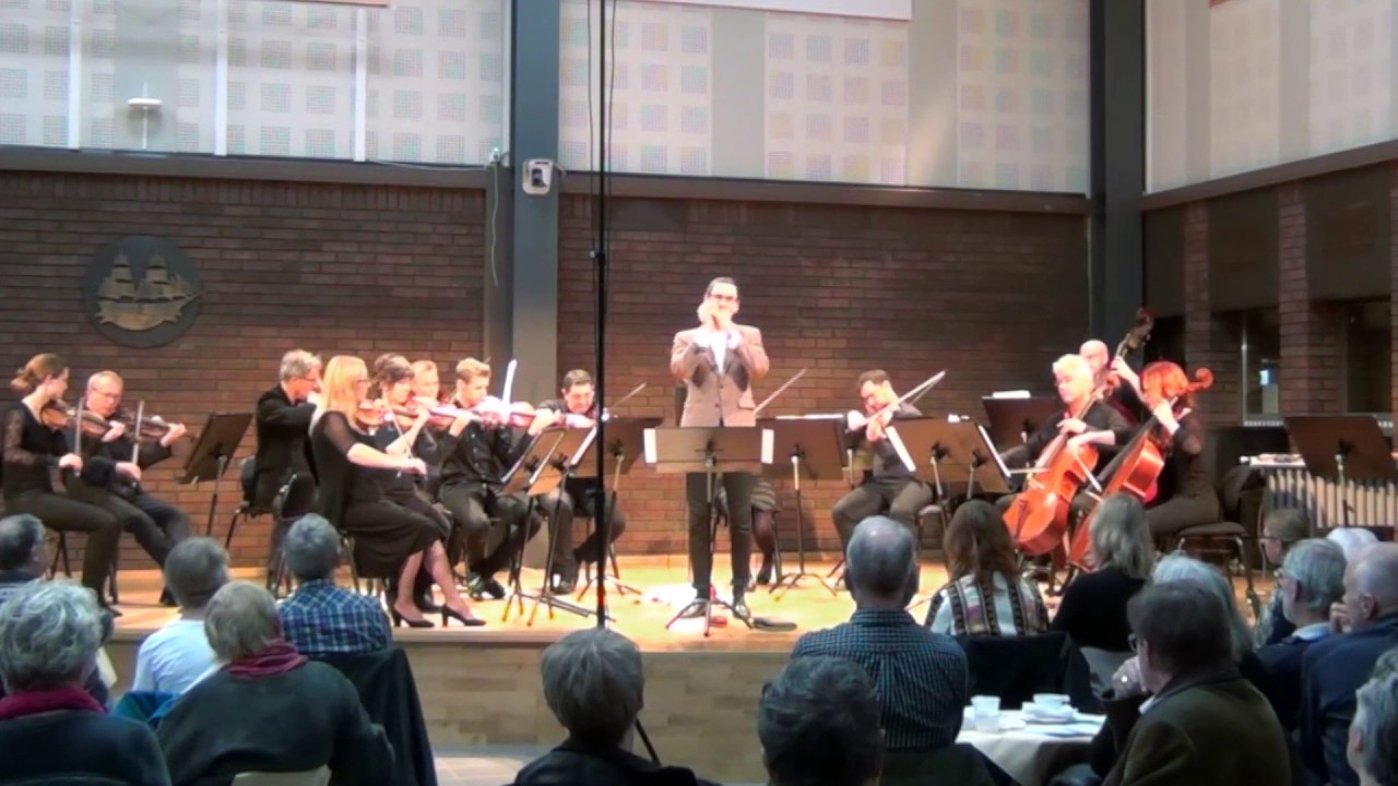 Filip Jers & Musica Vitae plays Gabriel's Oboe