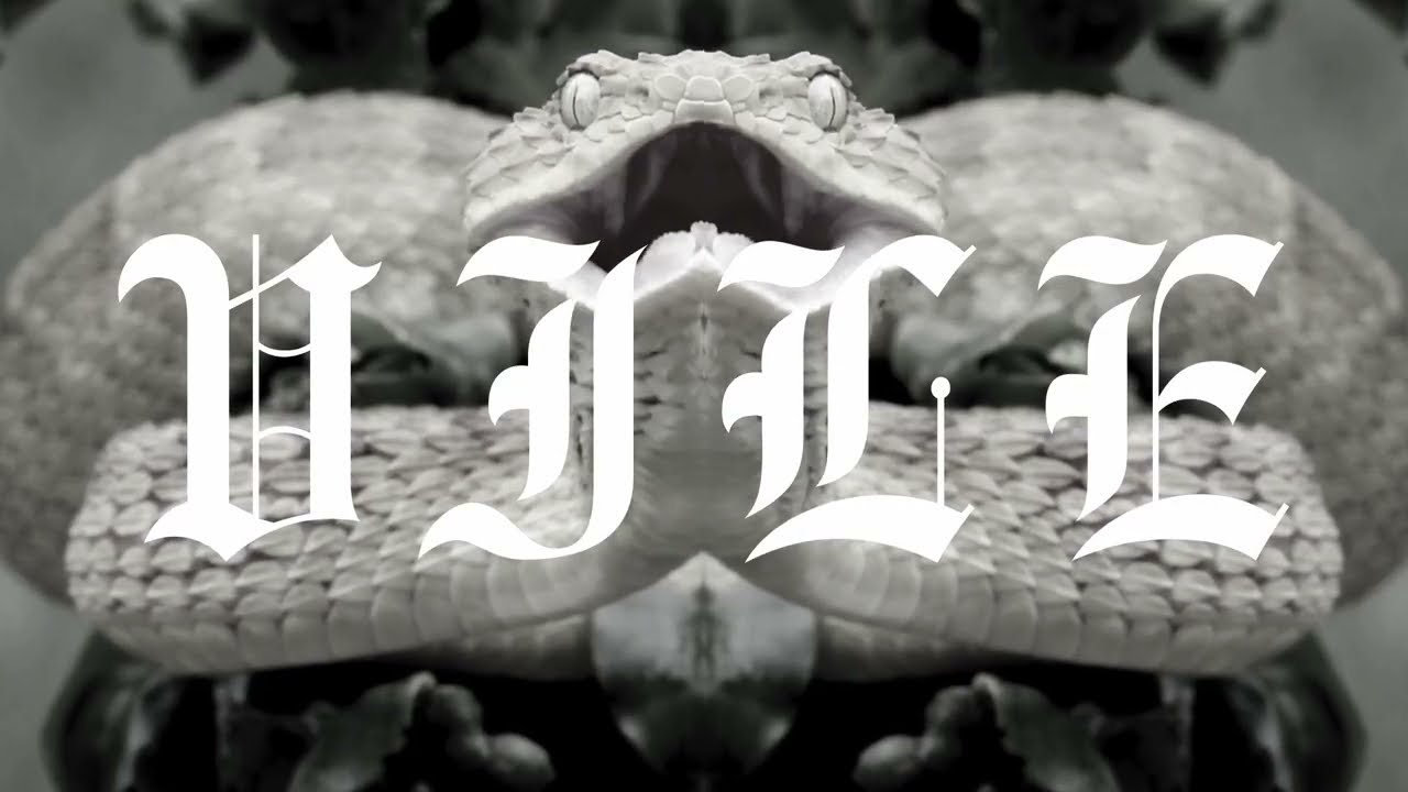 THE ANCIENT'S SPAWN  - Vile - ( LYRIC VIDEO ) │ Blackened symphonic metal