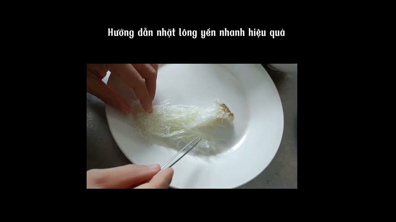 Hướng dẫn nhặt lông yến nhanh hiệu quả cho người mới!