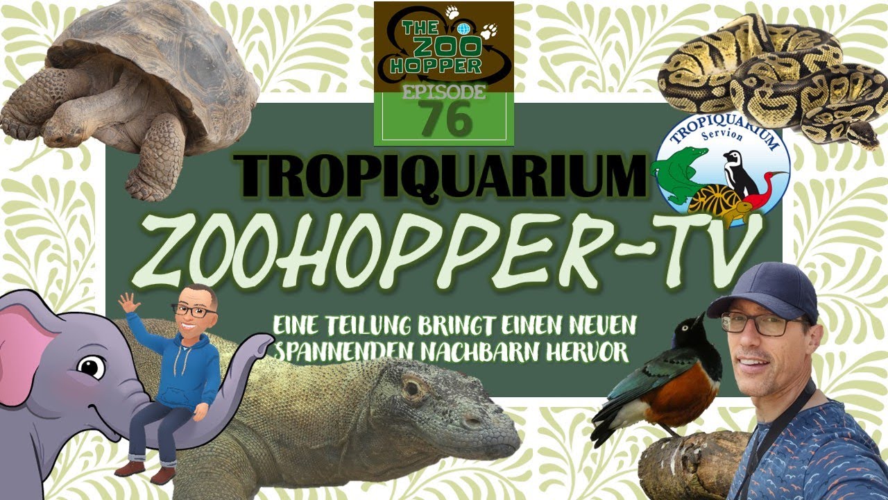 Eine Teilung bringt einen neuen spannenden Nachbarn hervor (Zoohopper-TV Episode 76)