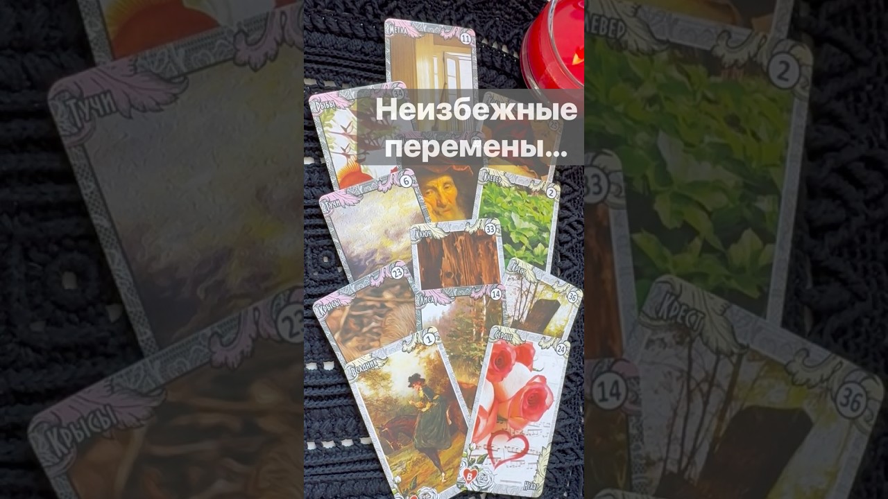 ❗️Что Готовит Судьба... 🌓✨ с Ниной #таро #tarot #таролог