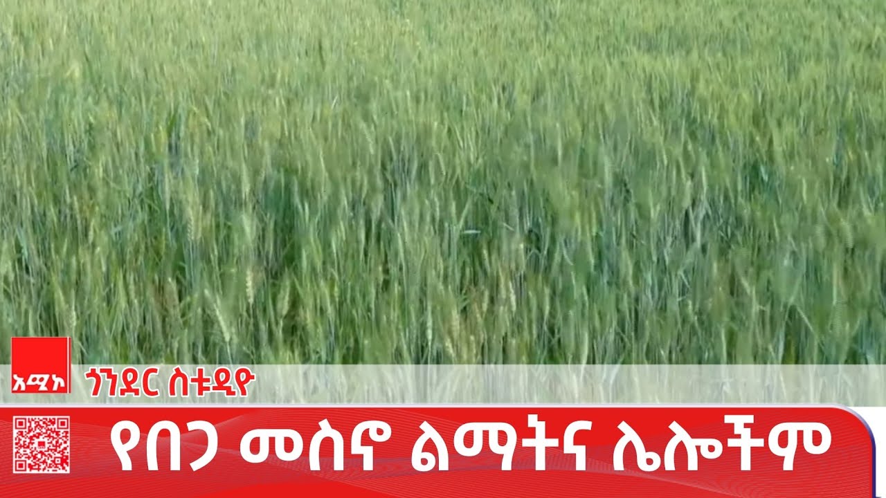 ጎንደር ስቱዲዮ ዜና: የካቲት 04/2018 ዓ.ም (አሚኮ) #ዜና #አሚኮ