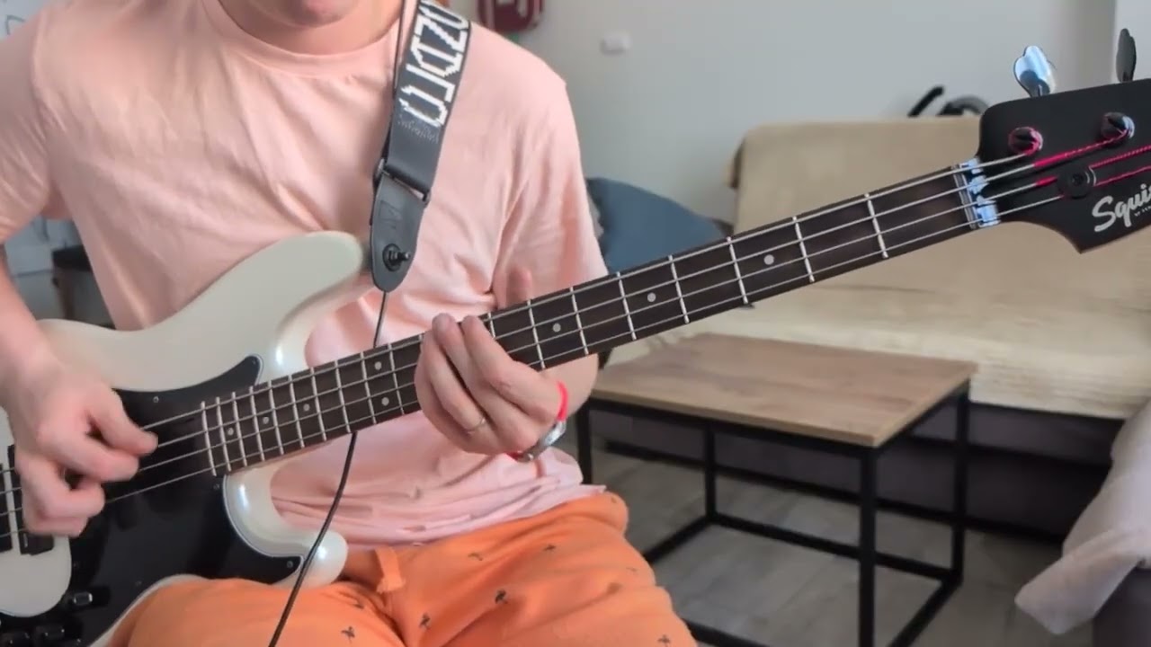 Twenty One Pilots - Navigating Bass Cover
