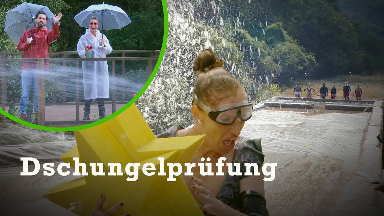 Die Stars im CREEK DER STERNE ⭐️ | Legenden-Dschungelcamp