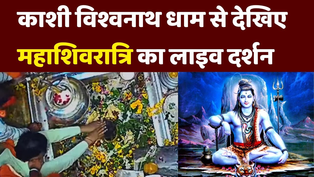 Mahashivratri 2025 Live: काशी विश्वनाथ धाम से महाशिवरात्रि | Kashi Vishwanath Temple Maha Shivratri