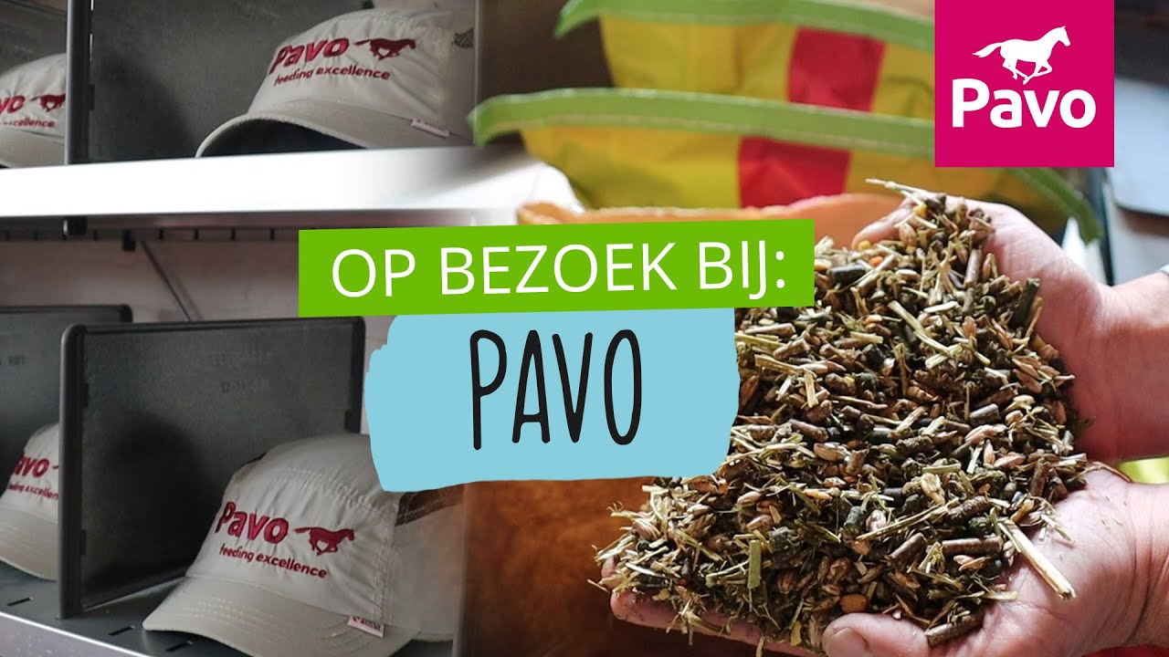 Op bezoek bij: PAVO + winnaar bekend | #109 | HorseFitShop