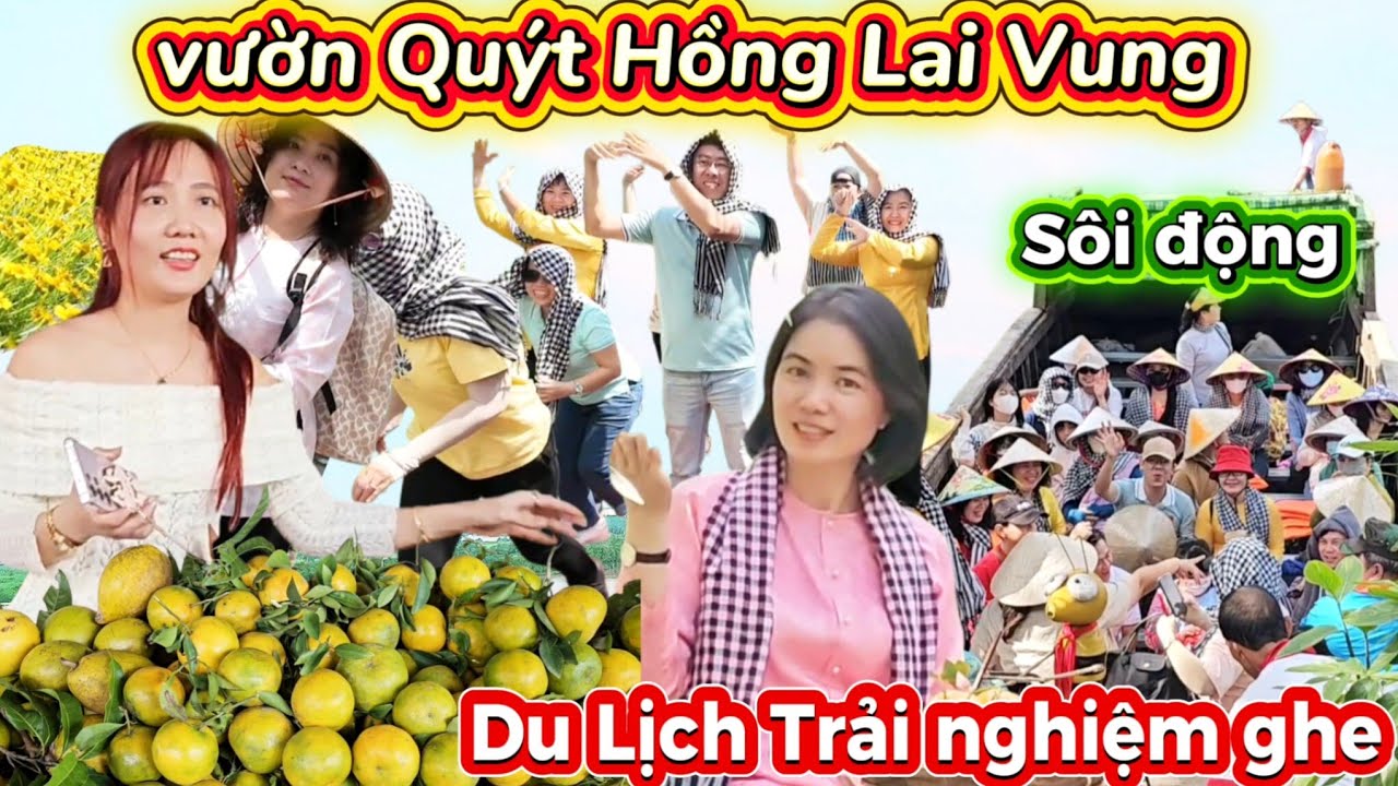 Vườn Quýt Hồng Lai Vung Tết 2026 Trĩu Quả rực rở tham quan du lịch trải nghiệm xuồng ghe,  ÚT Hớn