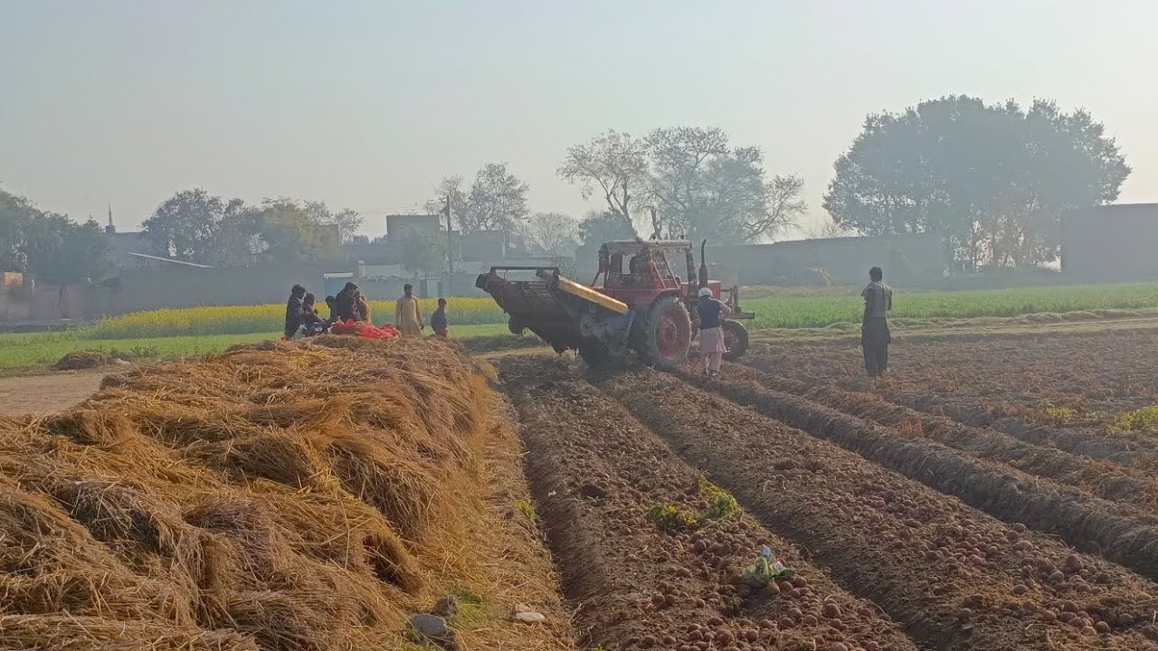 Allhamdulilla 🥰 Alo ki ptai shoro ho gai 